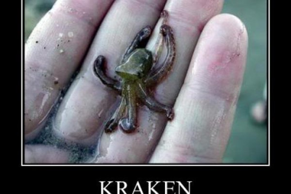 Ссылки зеркала на kraken