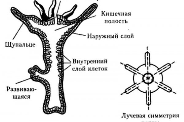 Купить героин в москве