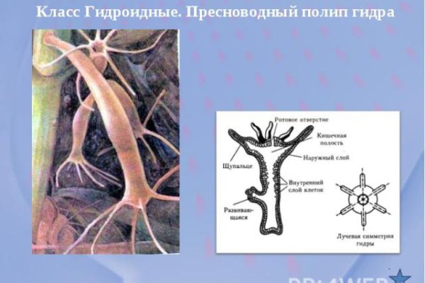 Оригинальные ссылки кракена