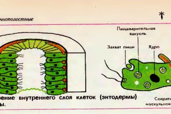 Даркмаркет кракен